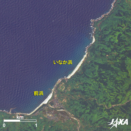 ALOS(だいち)が観測した屋久島のいなか浜と前浜