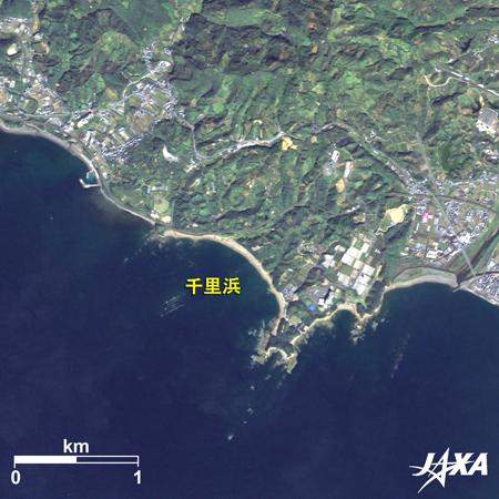 ALOS(だいち)が観測した和歌山県みなべ町千里浜