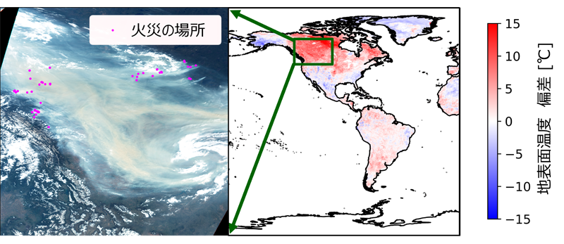 気候変動2023 第3回：森林火災と地球環境 サムネイル画像