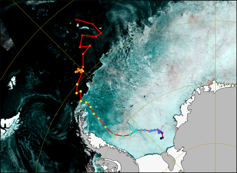世界最大の氷山「A23a」の分裂<br/>～最新の人工衛星「いぶきGW」と「しずく」、「だいち2号・4号」が捉えたA23a氷山の軌跡～ サムネイル画像
